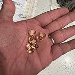 Robert N.'s review photo