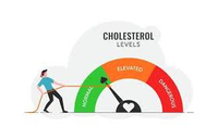 Cholesterol Support 💓