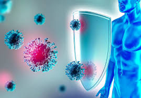 Immune System Support 🛡️